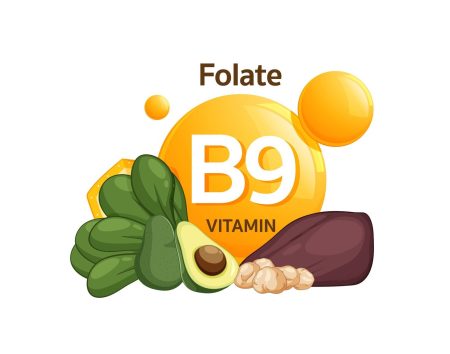 Vitamin B9: Essential Health Benefits and Food Sources Vitamin B9 (Folic Acid)