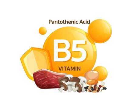 Vitamin B5: Benefits, Sources and Complete Guide Vitamin B5 Pantothenic Acid Food Sources